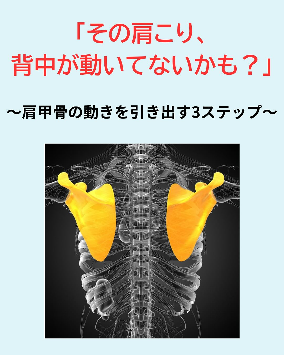 「肩が重い」「背中が固まる」…その原因、肩甲骨が動いてないせ