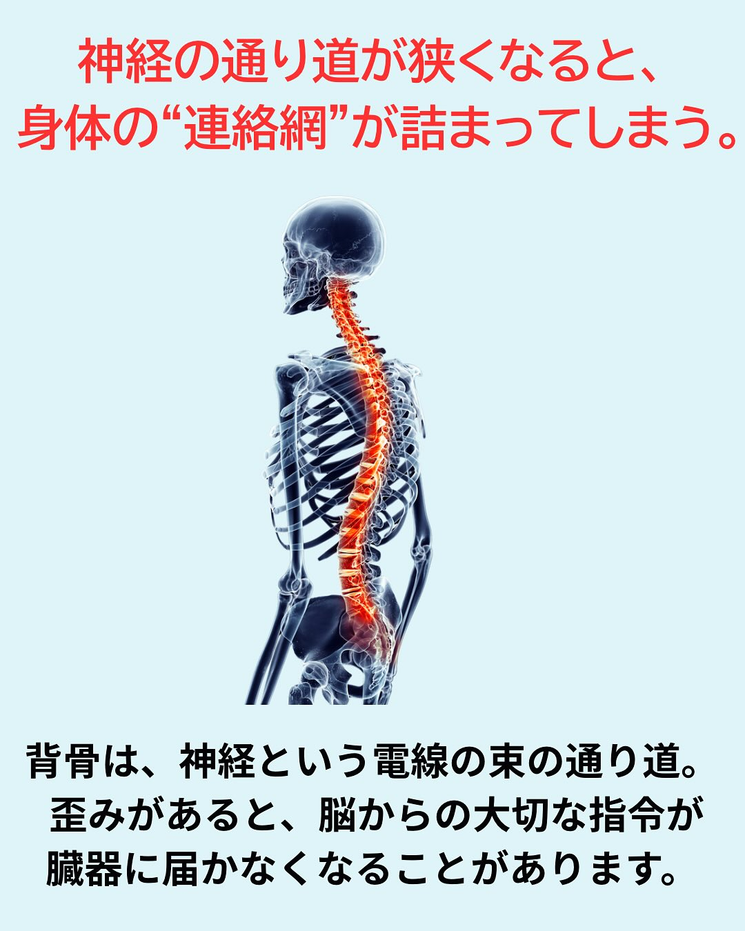 「内臓は“自動”で働いている」
